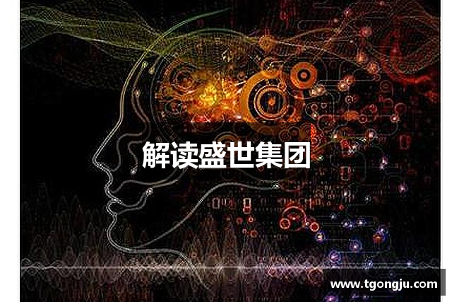 解读盛世集团